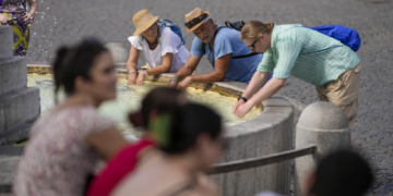 CLIMATE INSIGHTS: Your Essential Updates and Observations for Today