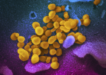 Millions Affected by Brain Fog and Other Long COVID Symptoms Find Hope in Promising New Treatment Studies